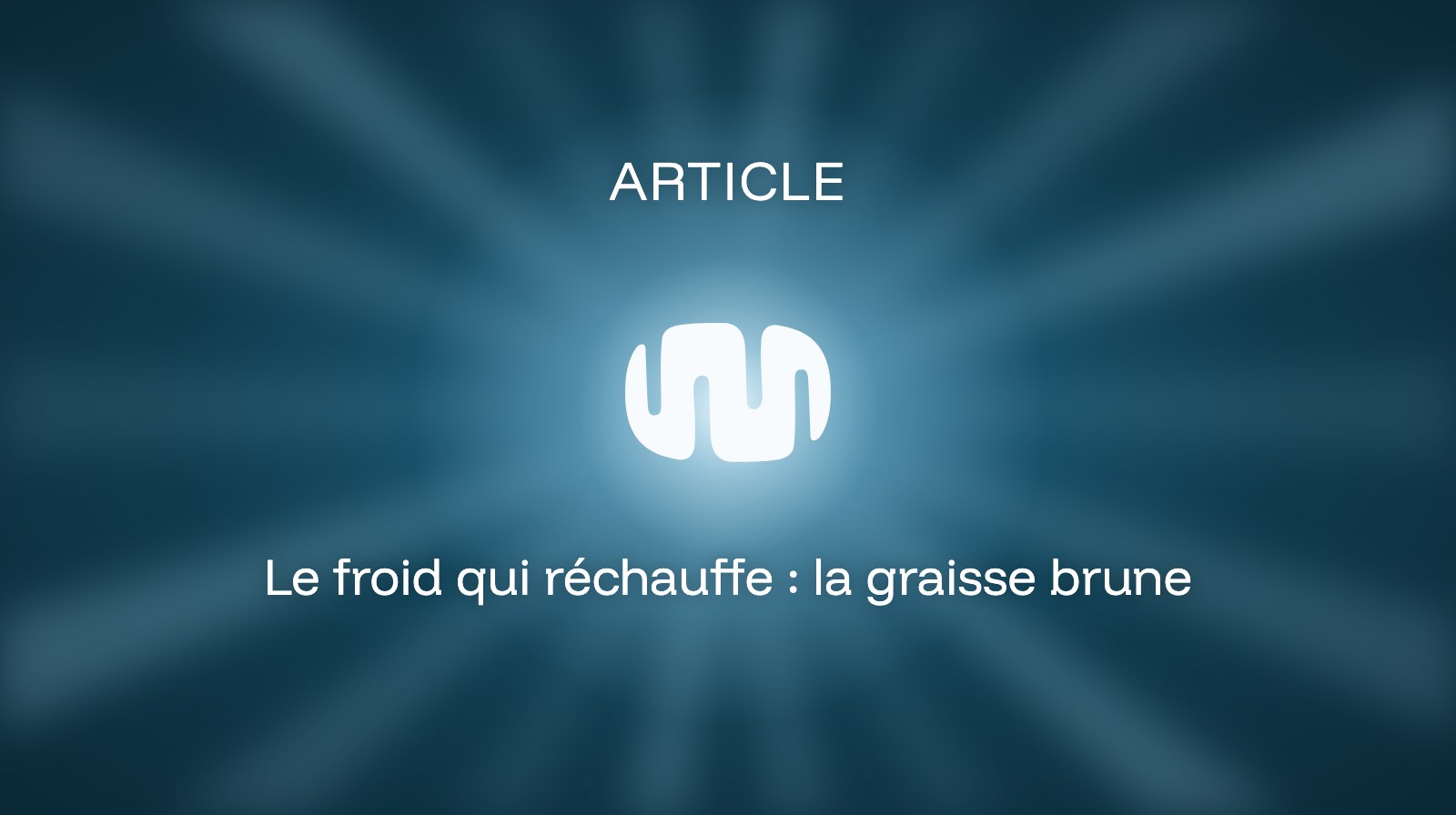 Le froid qui réchauffe : la graisse brune