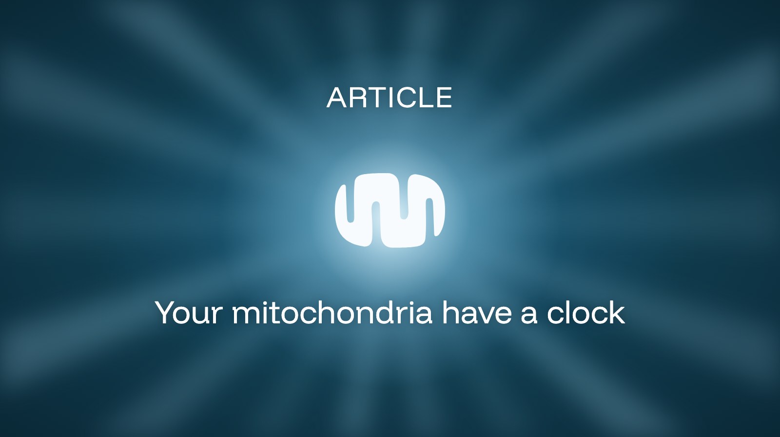 Your mitochondria have a clock